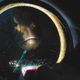 Image for article titled Should We Be Exploring The Oceans Instead Of Space?